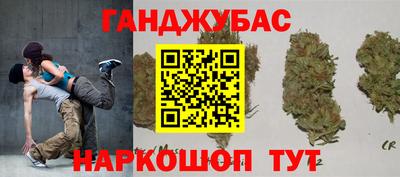 крисы Дубна