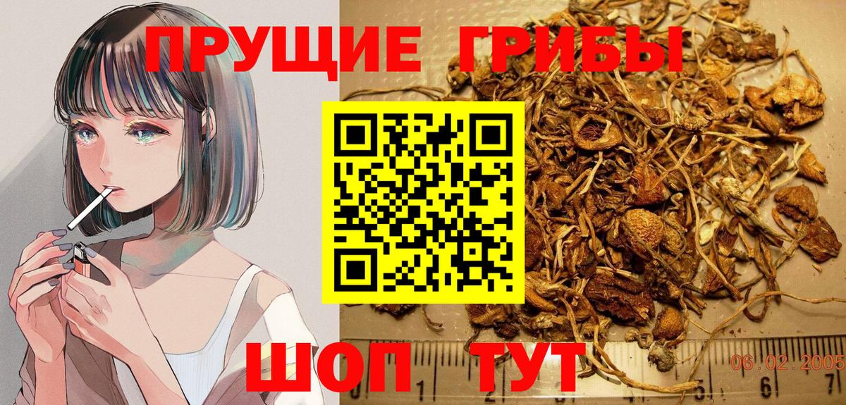 Кыштым  Псилоцибиновые грибы Psilocybine cubensis  как найти закладки  Вход с VPN  Галлюциногенные грибы Psilocybine cubensis 